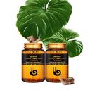 Farmstay Escargot Noblesse Intensive Ampoule