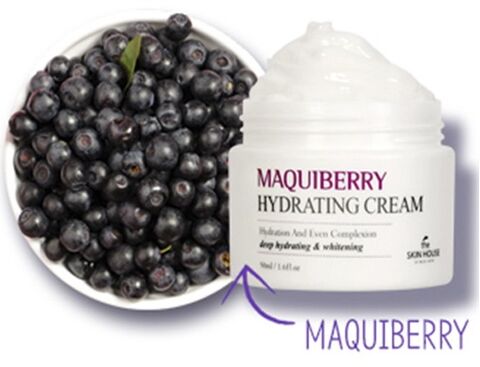 The Skin House Maquiberry Hydrating Cream