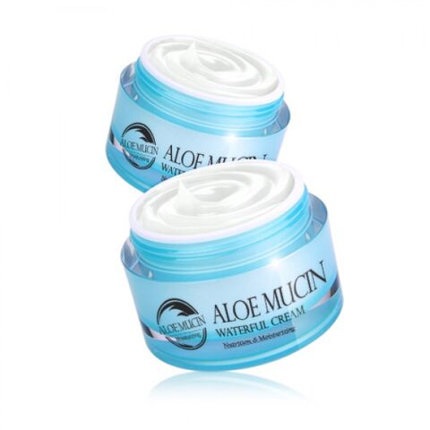 The Skin House Aloe Mucin Waterful Cream